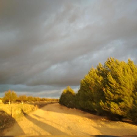 Casa Rural La Galana Albacete Чинчилья-де-Монте-Арагон Экстерьер фото