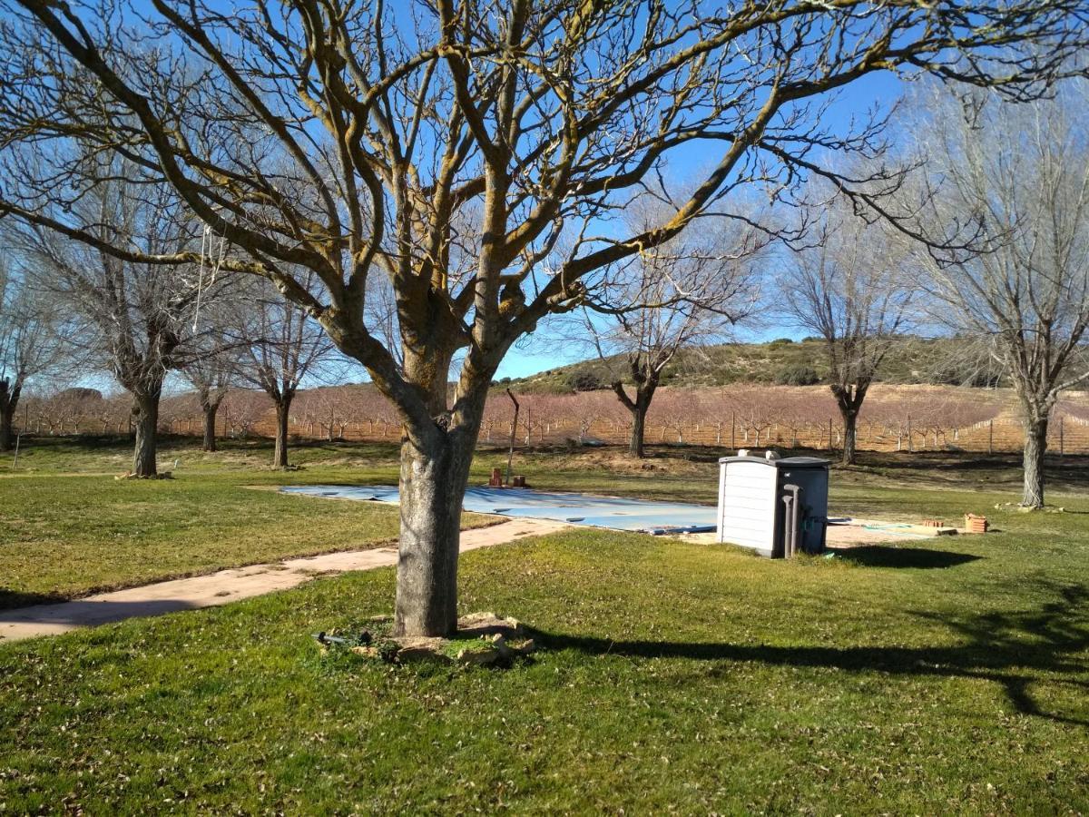 Casa Rural La Galana Albacete Чинчилья-де-Монте-Арагон Экстерьер фото