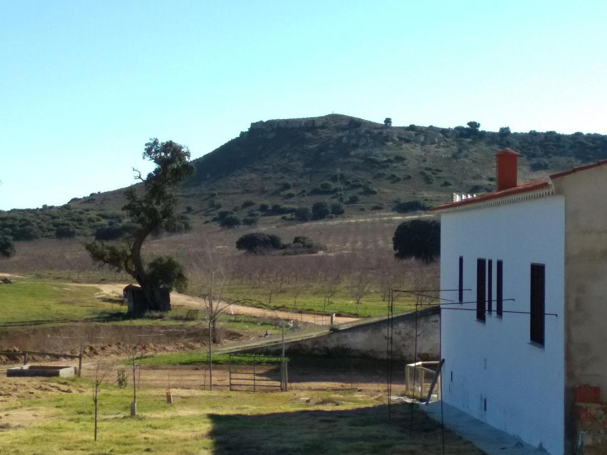 Casa Rural La Galana Albacete Чинчилья-де-Монте-Арагон Экстерьер фото