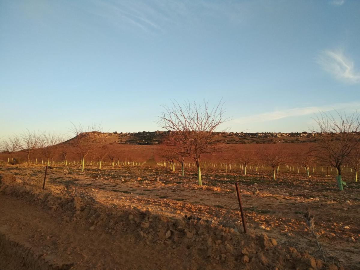 Casa Rural La Galana Albacete Чинчилья-де-Монте-Арагон Экстерьер фото