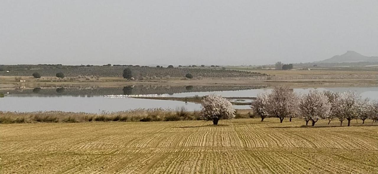 Casa Rural La Galana Albacete Чинчилья-де-Монте-Арагон Экстерьер фото