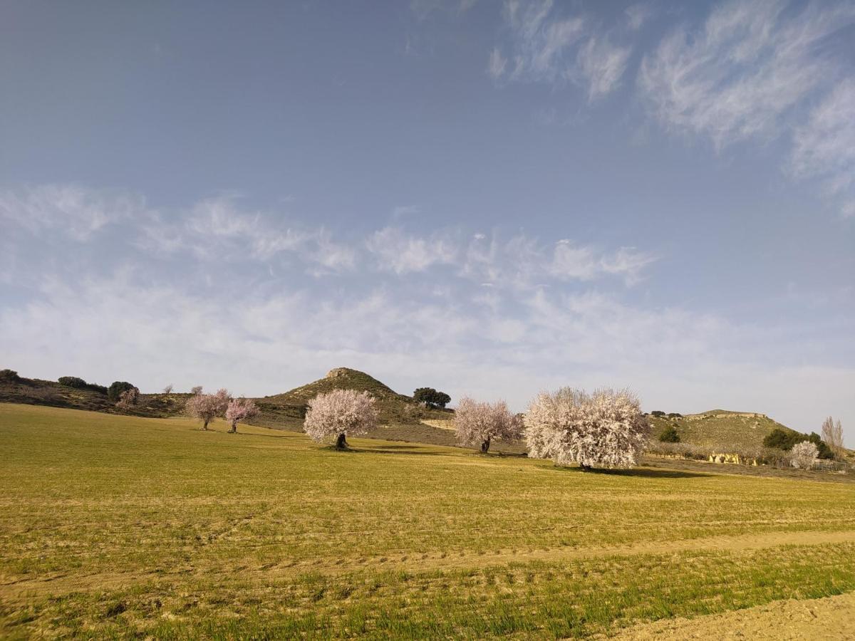 Casa Rural La Galana Albacete Чинчилья-де-Монте-Арагон Экстерьер фото